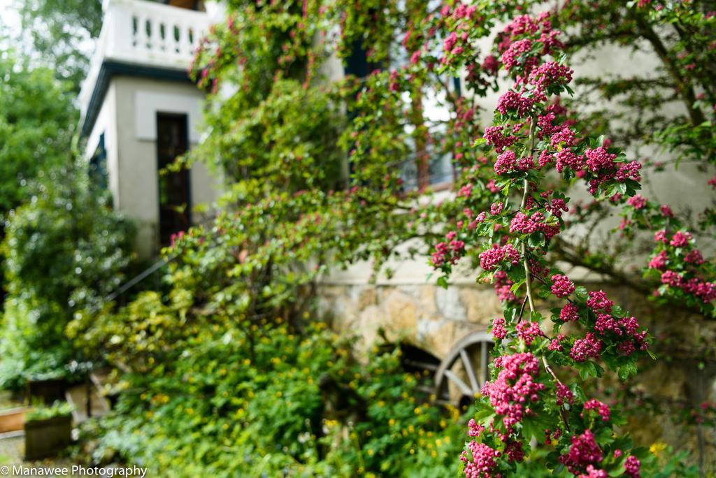 Villa Ariane Saint-Jorioz Eksteriør billede